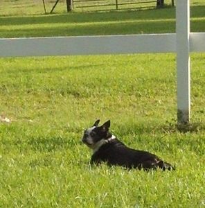 Meet your Posher, Linda